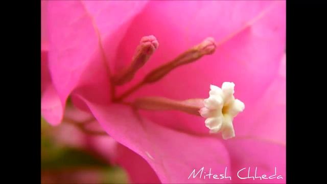 Nikon L830 Phtography смотреть онлайн