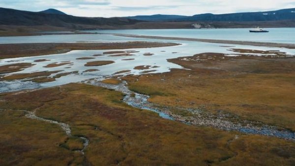 Остров Врангеля┃Wrangel Island