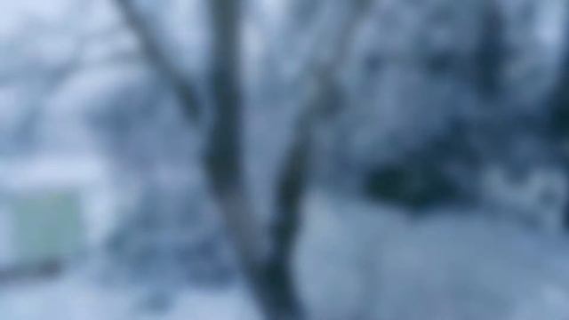 Roheline Maja смотреть онлайн