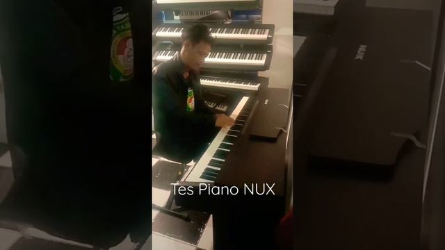 test digital piano Nux смотреть онлайн