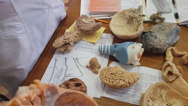 Повтор ЦНС. Часть 2 смотреть онлайн