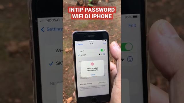 Lihat password wifi di iphone смотреть онлайн