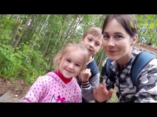 Бэби поход для родителей с маленькими детьми смотреть онлайн