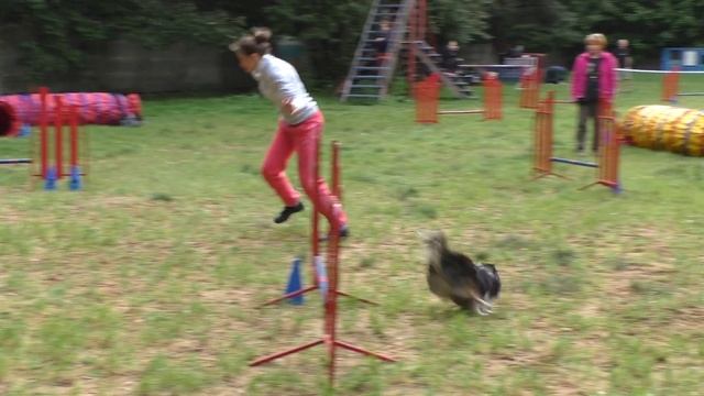 Кубок УДП "Рублёвка" по Аджилити. 10.09.2016 г. смотреть онлайн