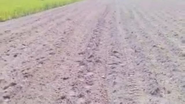 Видео0006 смотреть онлайн