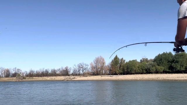 Рыбалка,Низовье Каратала. 23 июля #рыбалка #каратал #низовьекаратала #сазан #отдых #жетысу смотреть онлайн