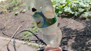 полив из бочки без насоса. Подробная инструкция.