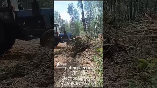 Грабли лесные ЛГ-1,8 Леспромресурс убирает порубочные остатки на делянке в лесу смотреть онлайн