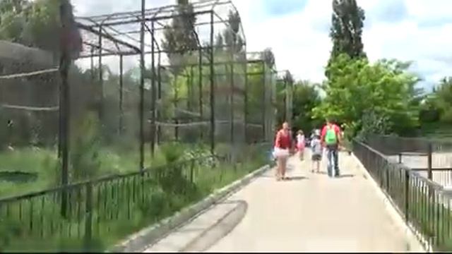 Алушта 2016 парк львов смотреть онлайн