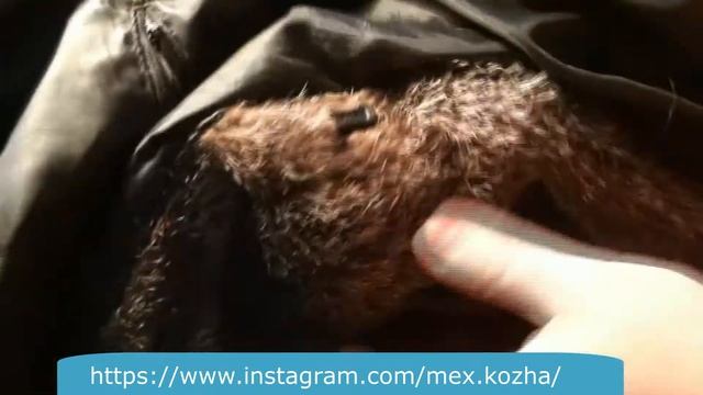 Меняем крючки в шубе смотреть онлайн