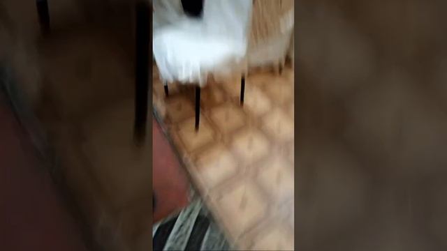 Туй номер 59 . Дилшод Зиëев. келин туй. Мужиза туйхонаси смотреть онлайн