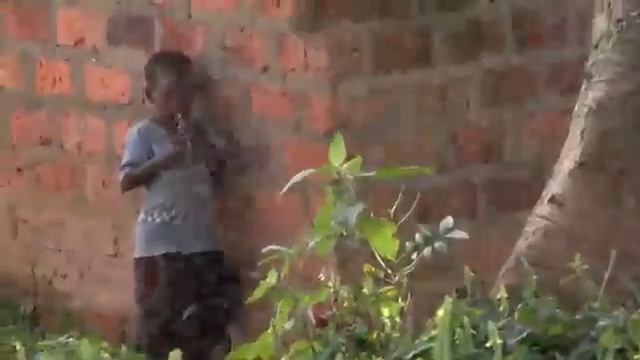 Котлеты из мух..и это не шутка..?