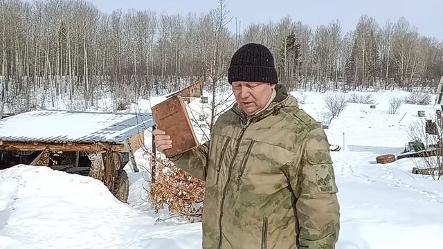 Чем кормить пчёл во время зимовки, по нужде. смотреть онлайн