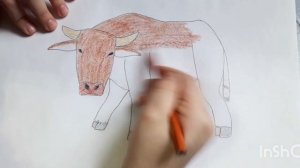 Как нарисовать БЫКА