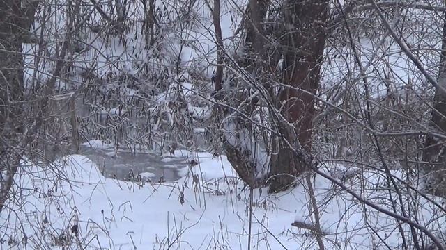 Красота зимней природы. (Январь 2018 год) (Для глухих) смотреть онлайн