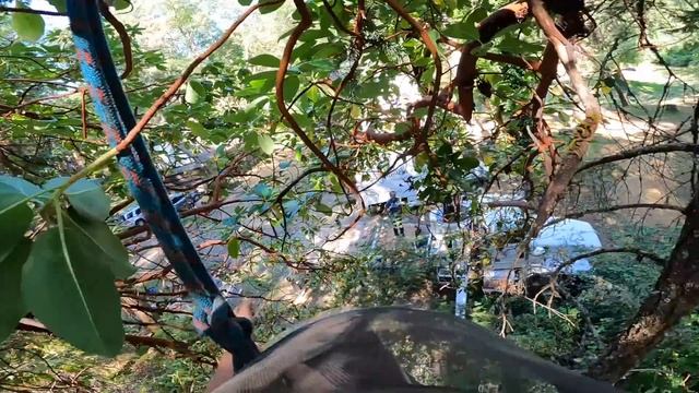 Rock Hard Oak VS Husqvarna T540i смотреть онлайн