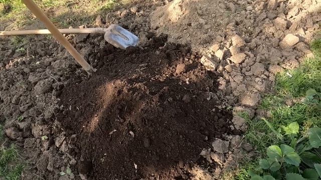 Підготовка грядки під часник та цибулю | Коли садити озимий часник? | Вирощування озимого часнику смотреть онлайн