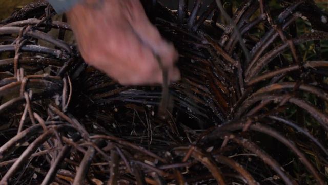 A TRUE CORNISH MAN - My RODE Reel 2020 смотреть онлайн