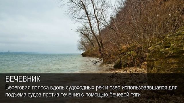 Бечевник. Толковый Видеословарь русского языка смотреть онлайн