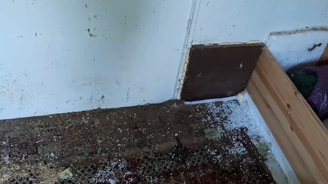Делаю полки в погреб