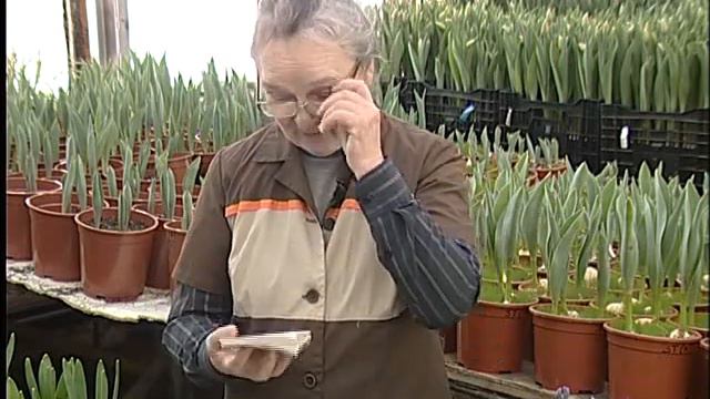 Садовник рекомендует №38