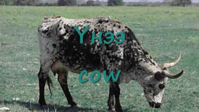 11г охохо смотреть онлайн