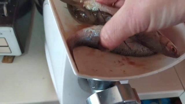 РЫБУ "ЕЛЕЦ" КРУТИЛА КУРАМ!!! А СЪЕЛИ УТКИ. смотреть онлайн