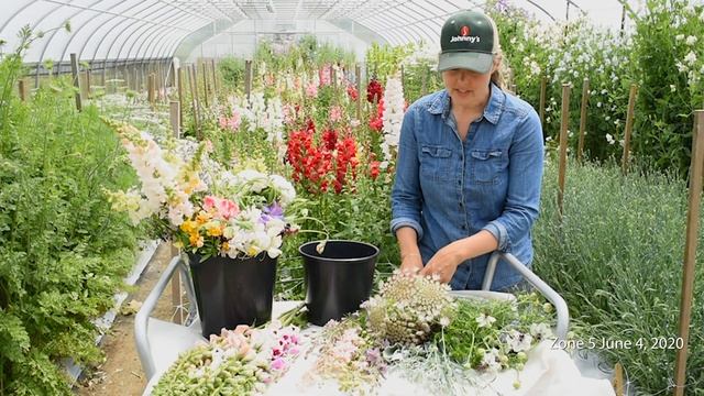 Overwintering Flowers Trial : Recap