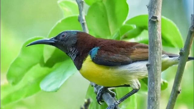 NIKON D3400 SAMPLE PHOTOS