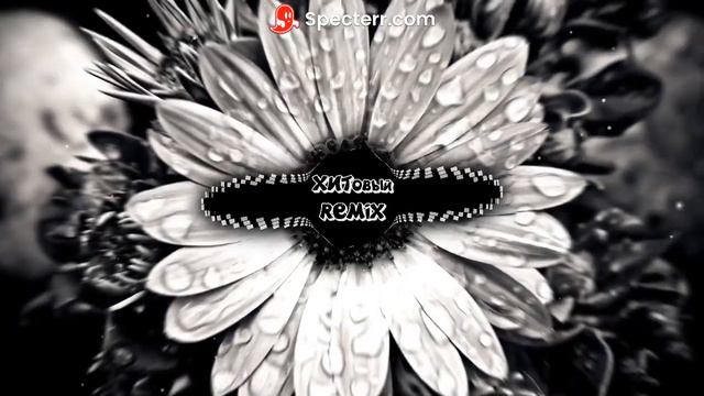 DASHI - Ромашки 🌼 Bassboosted смотреть онлайн