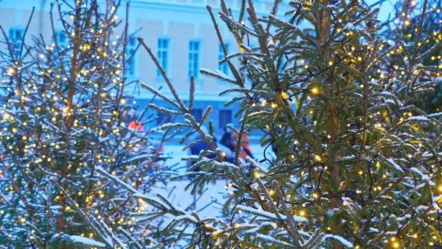 Харинама 17.01.2021г. Санкт Петербург смотреть онлайн