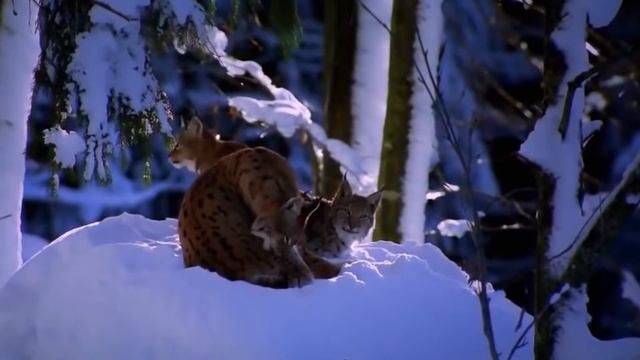 Праздник души... смотреть онлайн