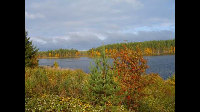 Зима наступает