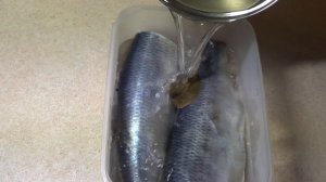 Селедка малосольная. Солим селедку в домашних условиях