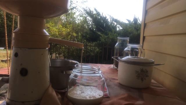 Как сделать сепарированные сливки (сметана) из домашнего молока смотреть онлайн