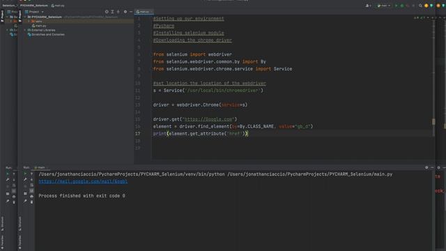 How to print a link in Selenium Python смотреть онлайн