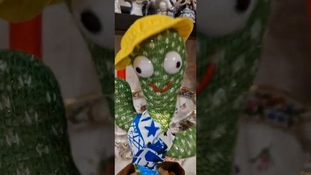 говорящий кактус 👌😁 смотреть онлайн