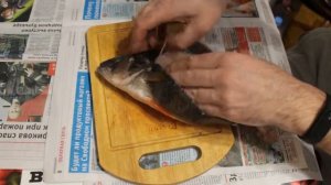 чучело из окуня часть 1