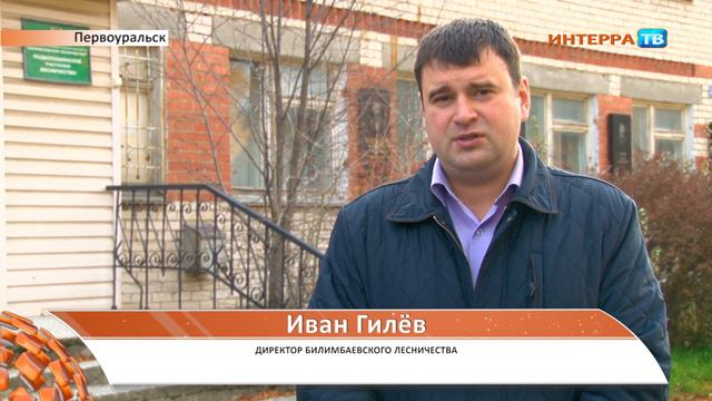 Первоуральцы обеспокоены законно ли рубят лес в районе Динаса 12 10 20 смотреть онлайн