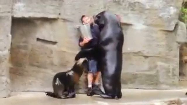 День объятий видосик