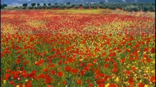 ПОЛЁТ ДУШИ ! ДАЙ РУКУ ! смотреть онлайн