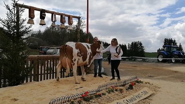 Nicorette, meilleure mammelle adulte au comice du Grandv'Haut-Jura (1er mai 2023 à La Chaumusse) смотреть онлайн