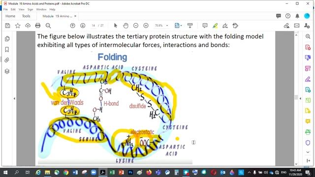 Module 19 Amino Acids and Proteins смотреть онлайн