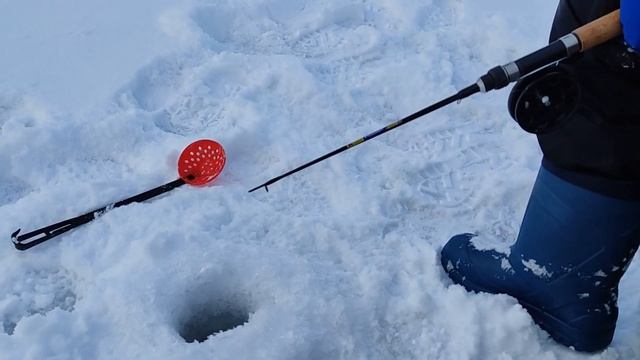 Поймаю Хищника или нет? Рыбачу на Химкинском водохранилище смотреть онлайн