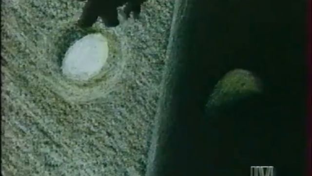 Muzzy In Gondoland (full)