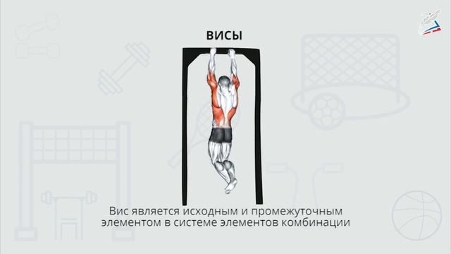 Урок физкультуры. Висы, упоры . 5-6 смотреть онлайн