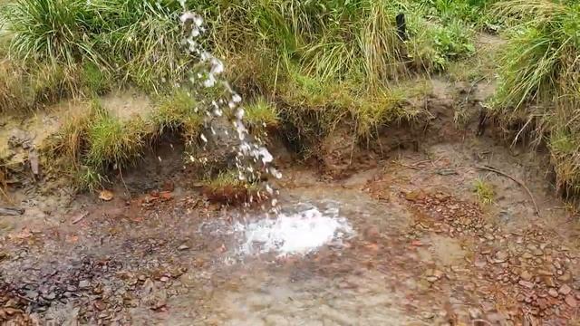 Минеральный источник в Ленинградской области. смотреть онлайн