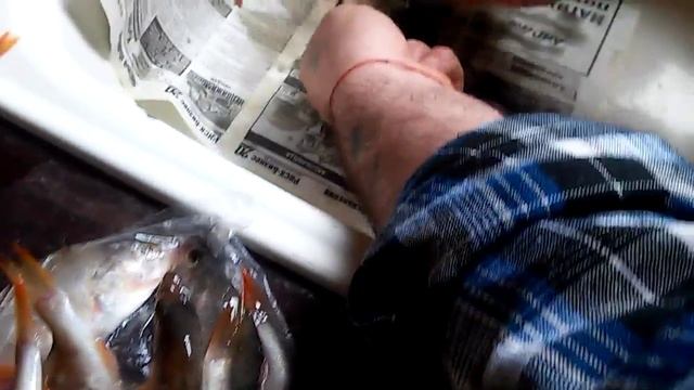 Как чистить окунька смотреть онлайн