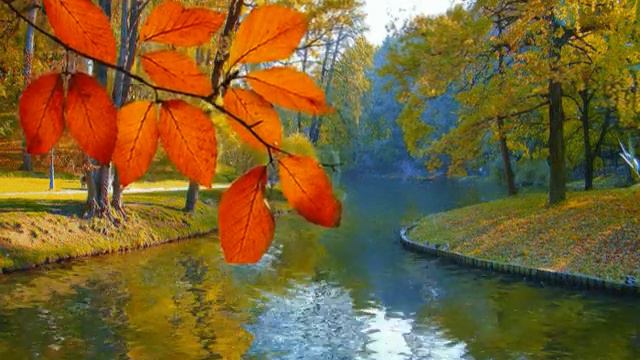 Vamos A Alabar Al Señor Jesús PIANO смотреть онлайн