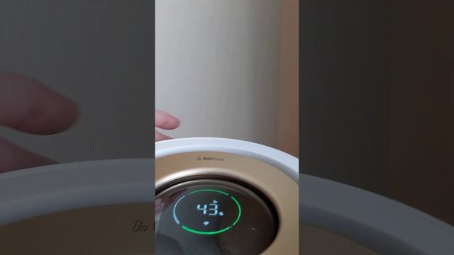 Увлажнитель воздуха Smartmi Humidifier Rainforest (CJJSQ06ZM) - реальный звук во время работы. смотреть онлайн